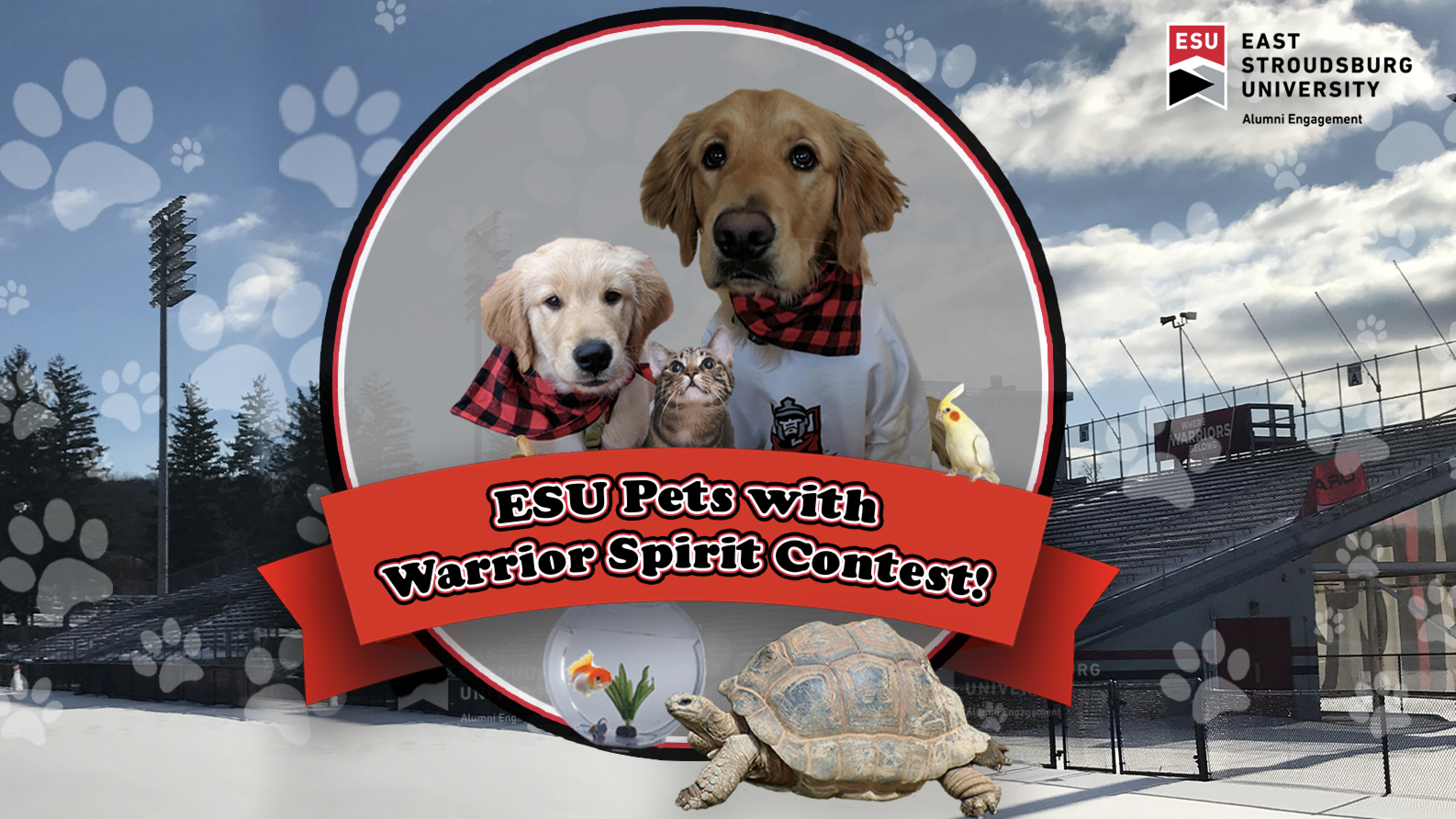 Enter the ESU Alumni Pets with Warrior Spirit Contest 