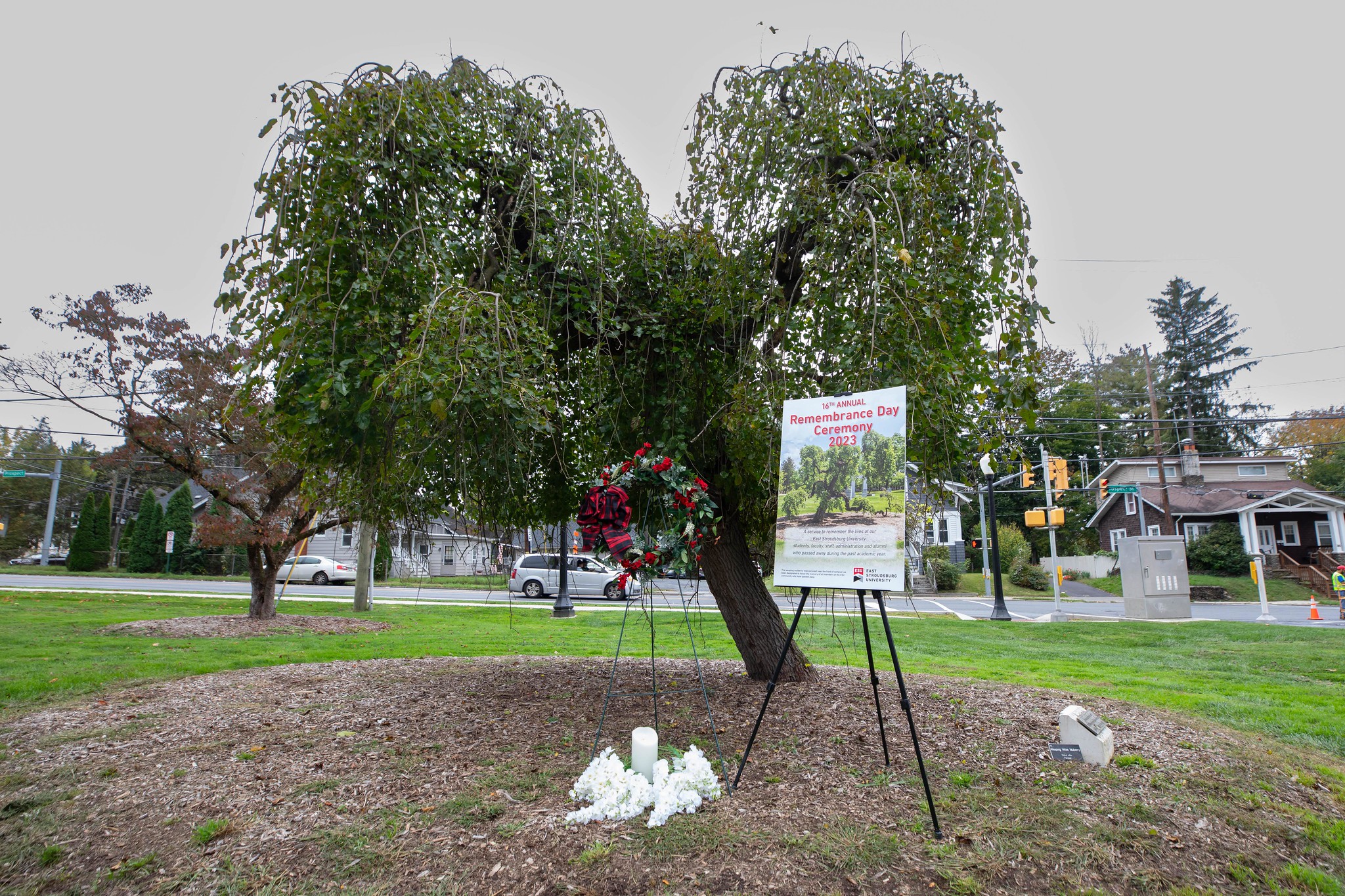 Remembrance Day Celebration